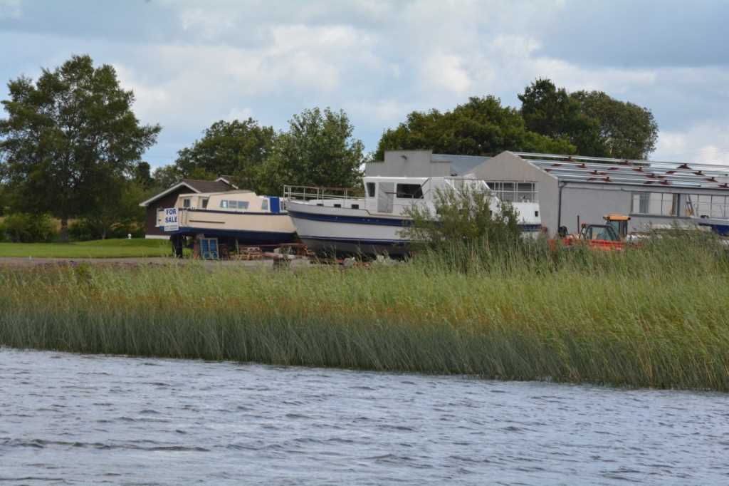 DSC_6138Mittel_.JPG